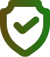 Shield Icon