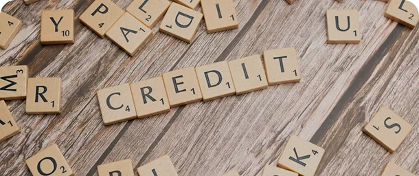 Loan Application
